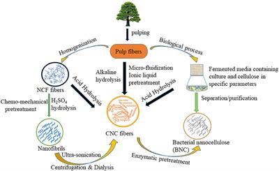 Lignocellulosic Biomass for the Synthesis of Nanocellulose and Its Eco-Friendly Advanced Applications